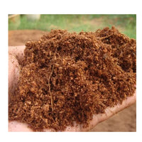 Premium Organic Cocopeat Brick – Eco-Friendly Soil Alternative