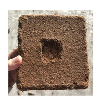 Premium Organic Cocopeat Brick – Eco-Friendly Soil Alternative